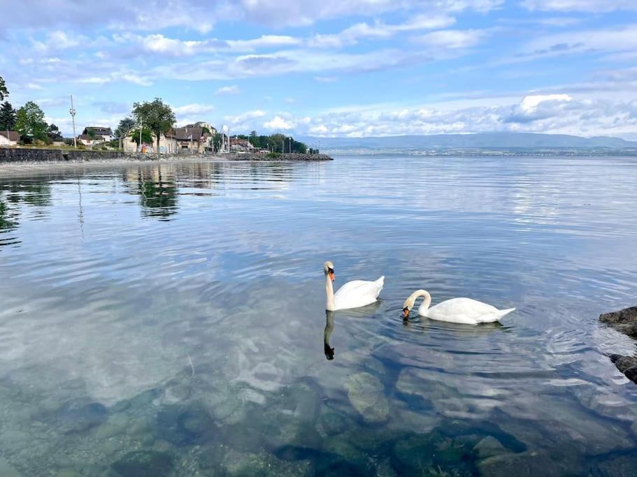 L'Escale Du Leman Lägenhet Publier Exteriör bild