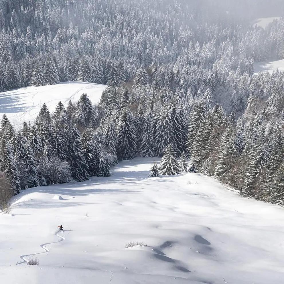 L'Escale Du Leman Lägenhet Publier Exteriör bild